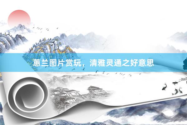 蕙兰图片赏玩,清雅灵通之好意思