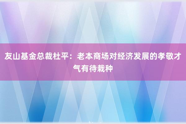 友山基金总裁杜平：老本商场对经济发展的孝敬才气有待栽种