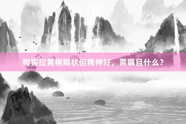 狗狗拉黄稀糊状但精神好，需瞩目什么？