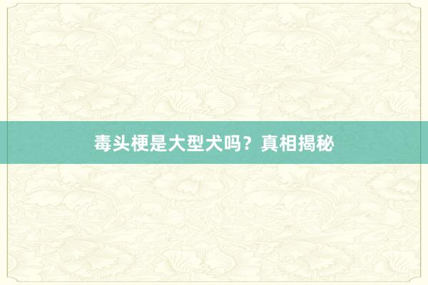 毒头梗是大型犬吗？真相揭秘